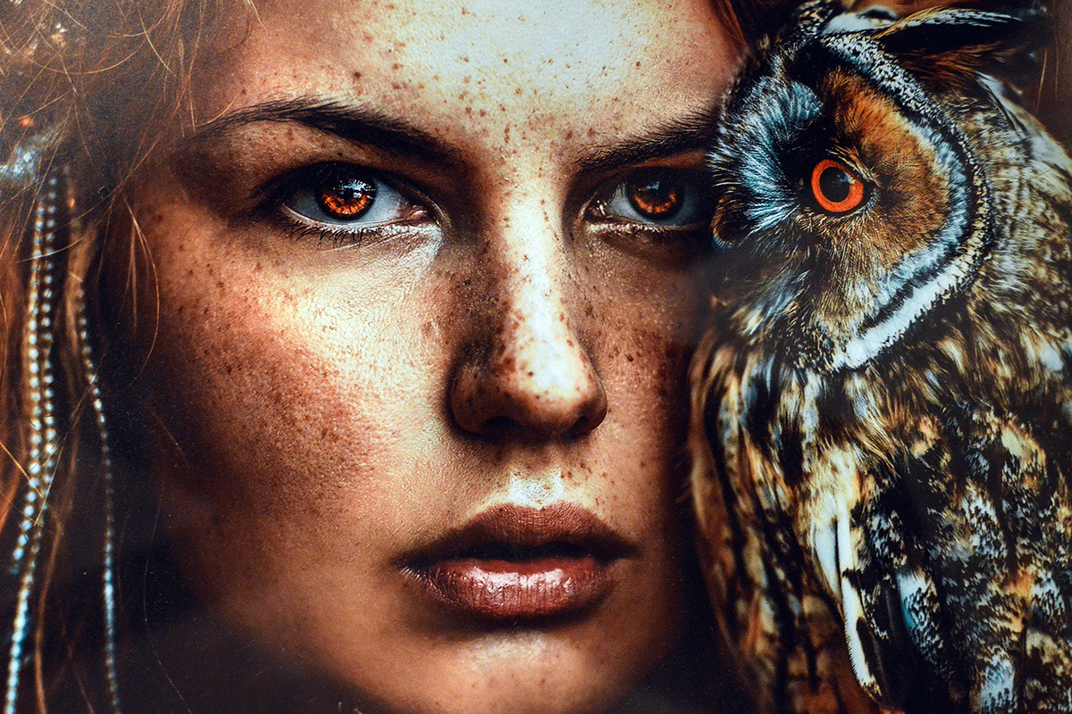 Read more about the article Výstava fotografií s motivy zvířat a divočiny v Art-n-Coffee