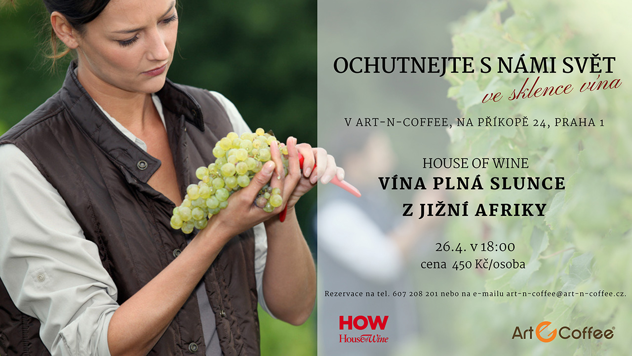 Read more about the article Degustace vín plných slunce z jižní Afriky